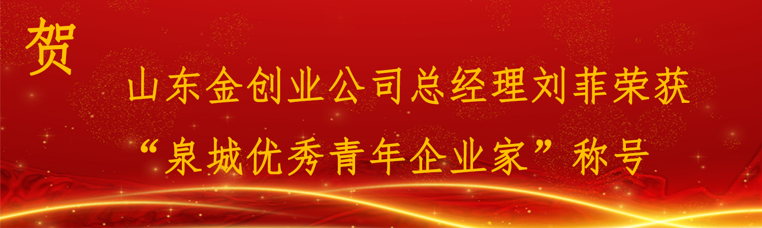 喜报！我司总经理刘菲荣获“泉城优秀青年企业家”称号