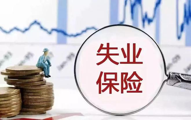 山东失业金一个月多少钱2024年（领取条件＋领取标准＋领取流程）